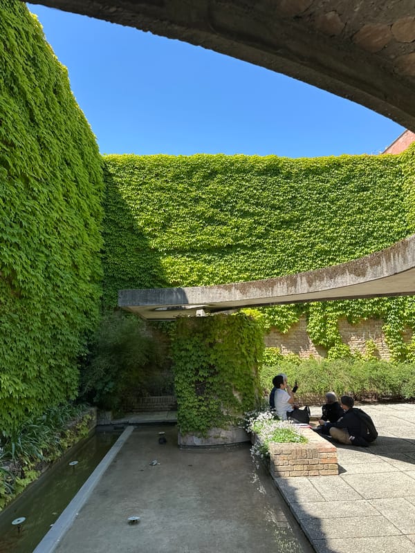 Venice art exhibitions documented during 22-minute gallery tour