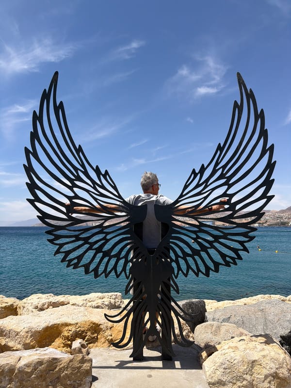 Man views wing sculpture at Eilat coastal area