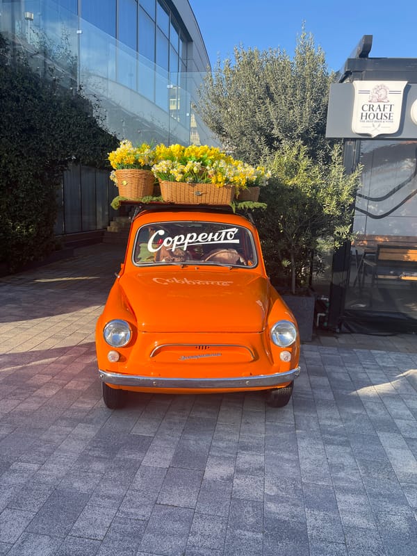 Ordinary afternoon moments captured across Sochi's streets and beaches