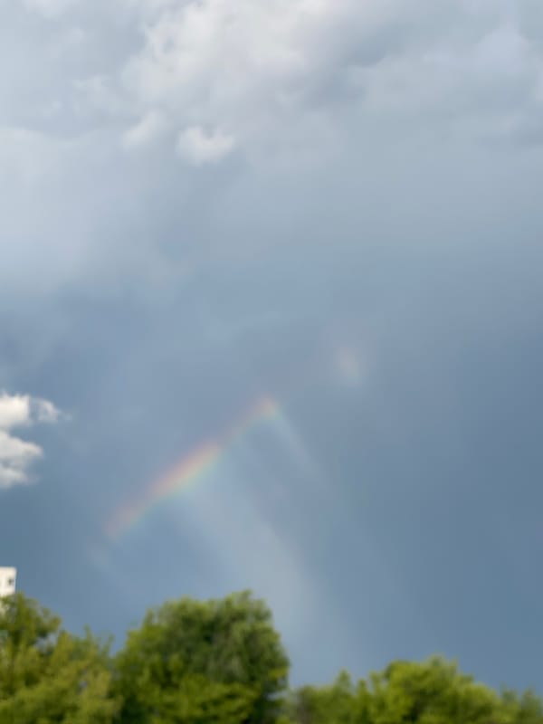 Double rainbow arching over treetops after a passing storm