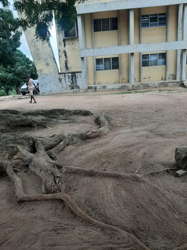 World Cup reactions and everyday street scenes from Ogbomosho