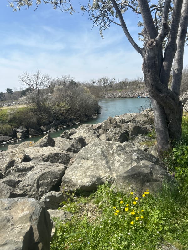 Border crossing and coastal views documented along Bulgaria-Turkey frontier