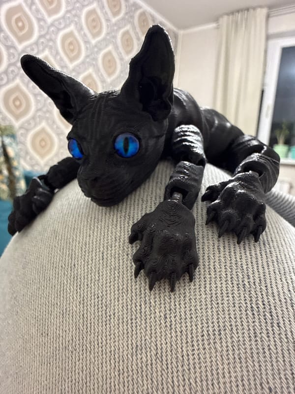 Black cat figurine photographed on furniture in Khimki apartment