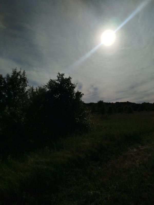 Rural Ukrainian countryside documented in afternoon meadow walk