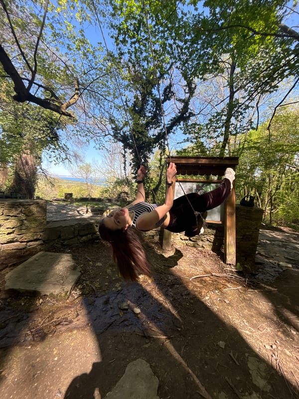Visitors enjoy rope swing recreation in Varna woodland park