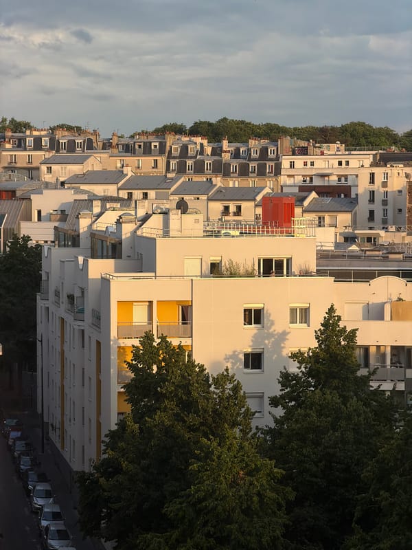 Sunset over Paris rooftops, pickup soccer on a street pitch