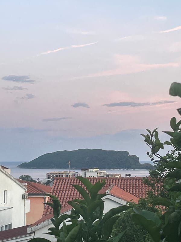 Evening stroll through Budva captures cats, flowers, architecture
