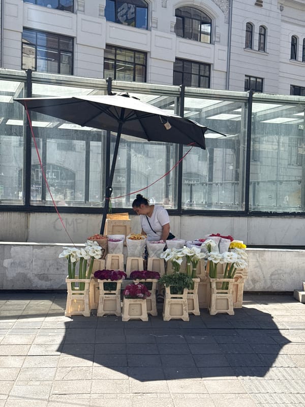 Flower vendor operates sidewalk stand in Belgrade's Vracar district