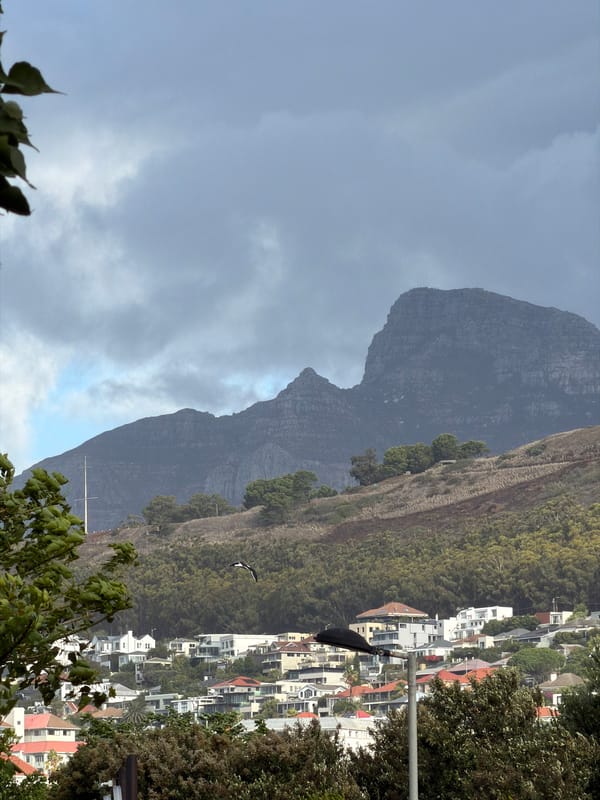 Cape Town observer documents mountain views and geese at golf course