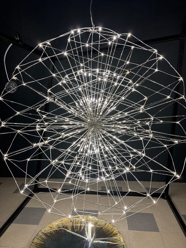 Museum visitor documents art installations in Saint Petersburg
