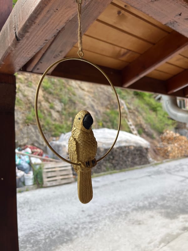 Decorative bird display and fountain use documented in Chepintsi