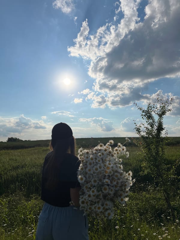 Daisy field moment in Ilavche, Ukraine
