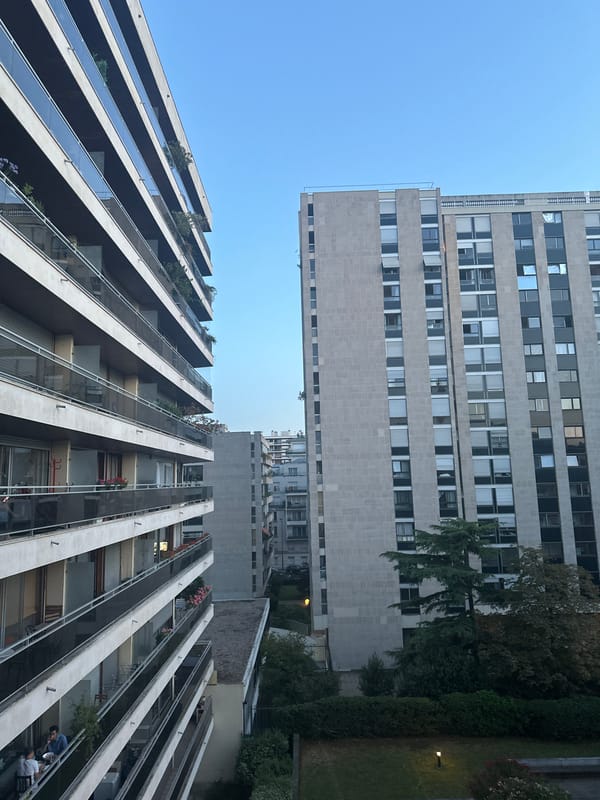 Evening views from a Paris apartment, cat included