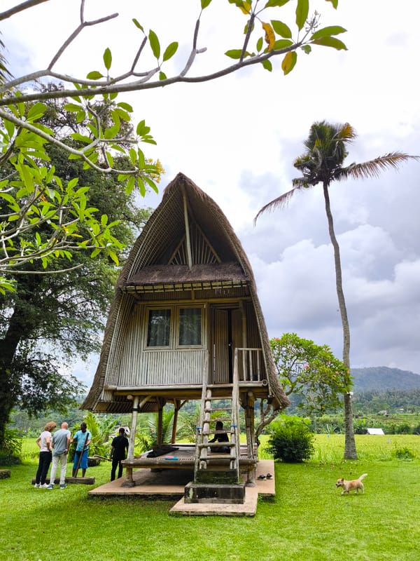 Morning village life documented in rural Sidemen, Indonesia