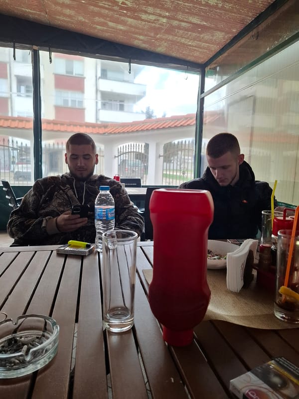 Two men dine at restaurant in Strazhitsa, Bulgaria