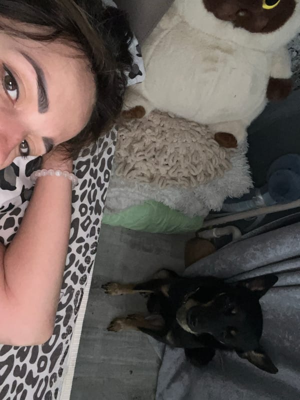 Quiet evening at home, lying down with a dog nearby
