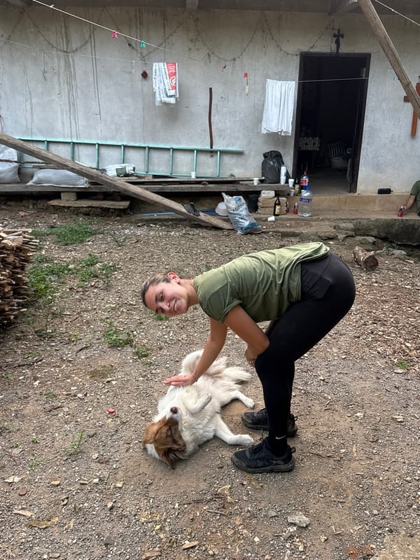 Woman pets large dog in Pinahuista, Mexico