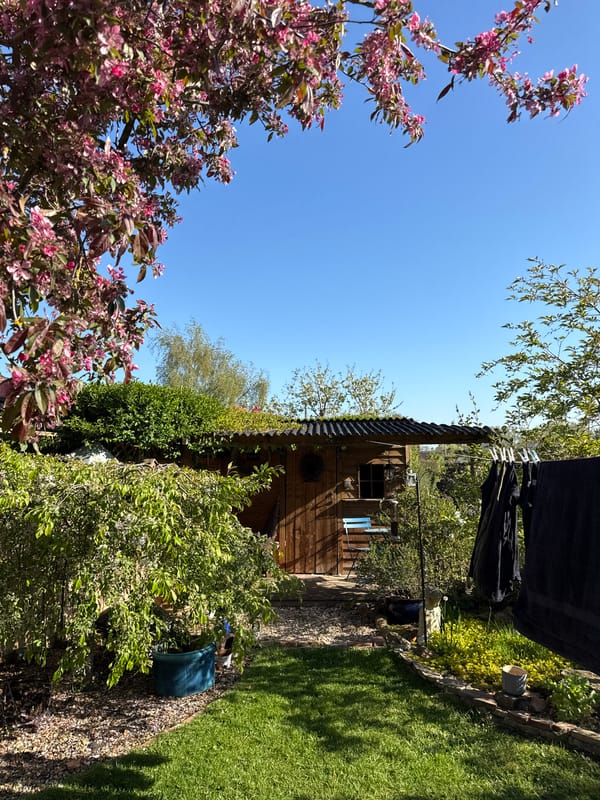 Spring morning garden scenes captured in Hitchin backyard