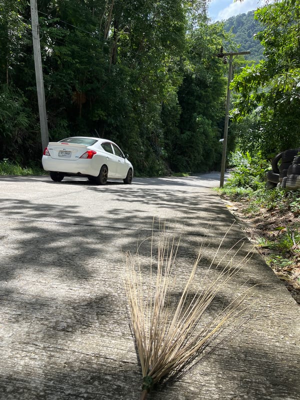 Parked car and lush roadside greenery in Kathu, Thailand