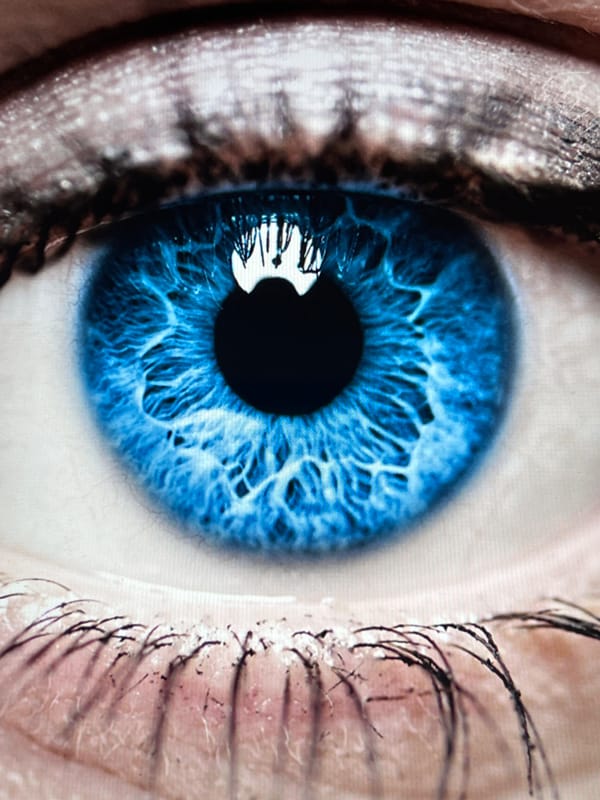 Close-up blue eye photograph captured by witness