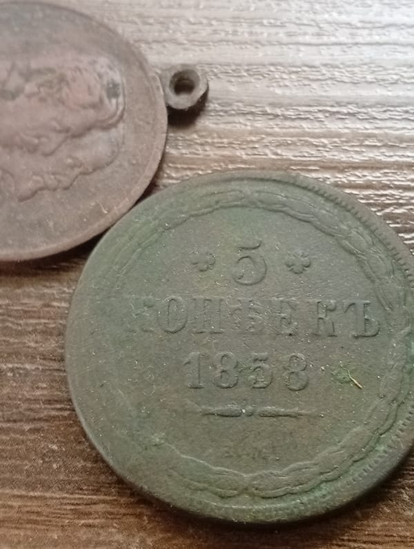 Historical Coin Collection Examined in Lithuanian Villages