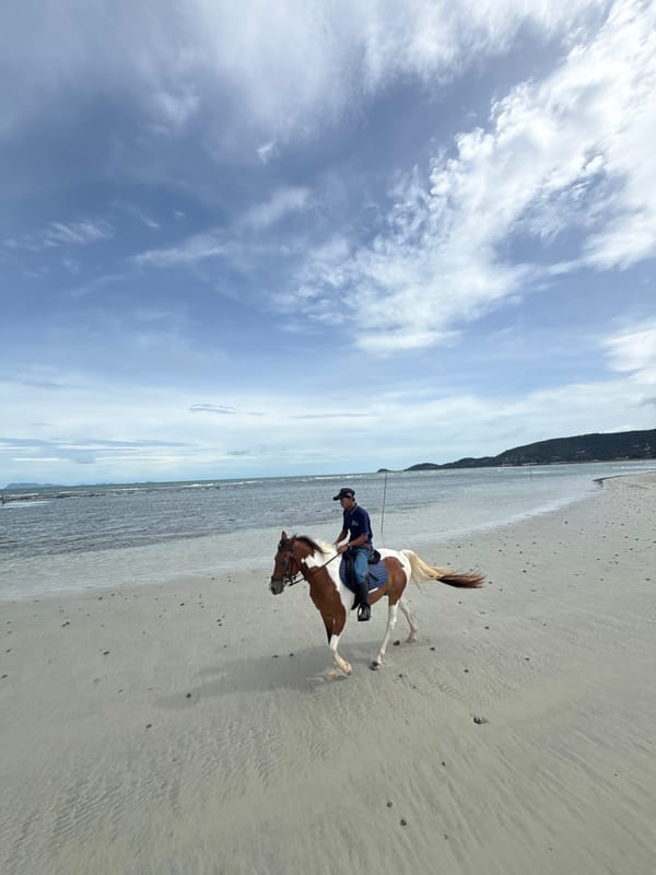 Horseback riding along a Ko Samui beach