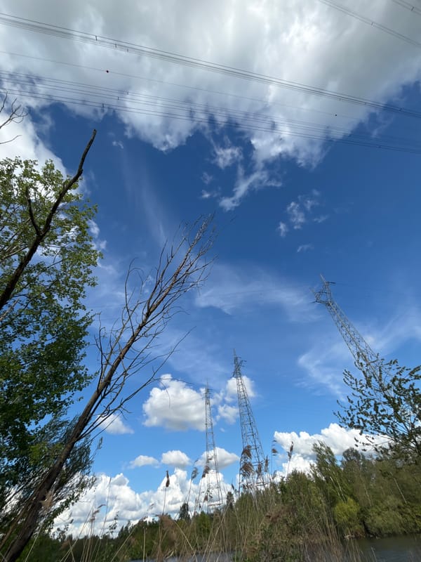 Spring afternoon documented through outdoor scenes in Bazel, Belgium