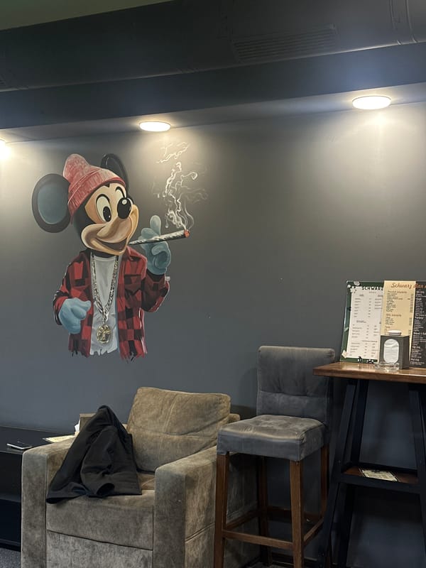 Patron plays pool at cartoon-themed Schwarz bar in Yerevan
