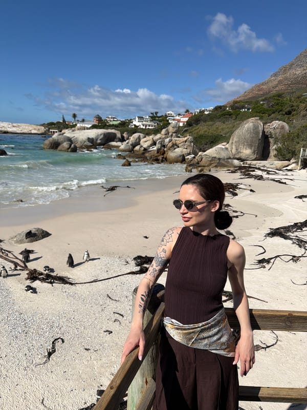 Tourist observes African penguin colony at Simon's Town beach