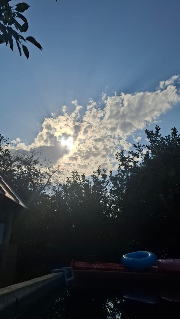 Midsummer backyard life in Шұбарсу, Kazakhstan