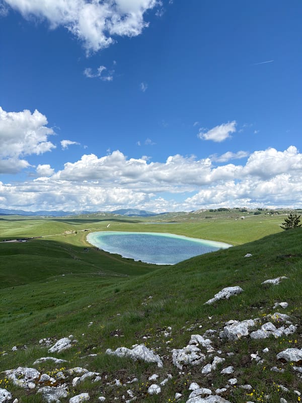 Pastoral morning scenes captured in Novakovići, Montenegro countryside