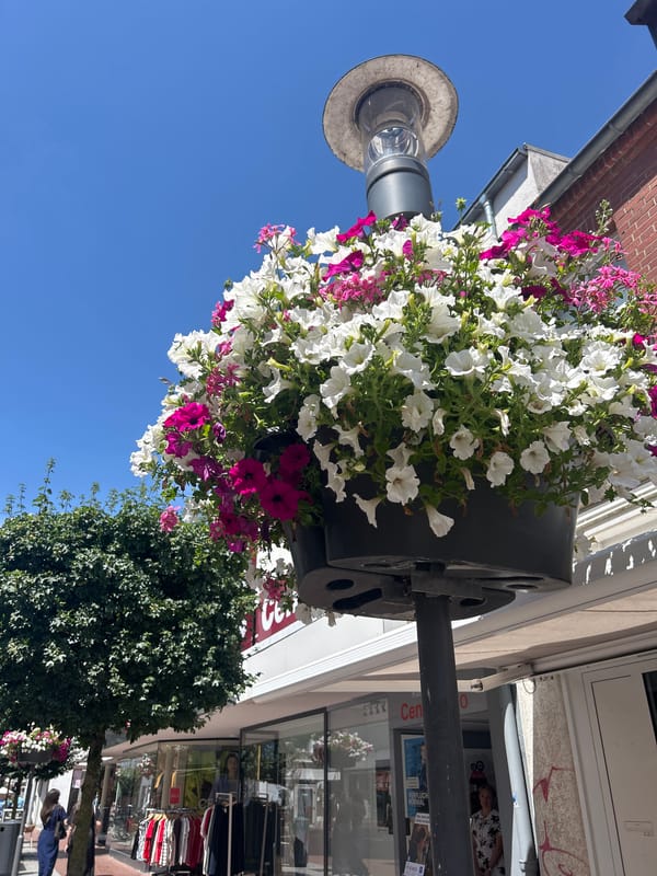 Lingen (Ems) pedestrian street dressed up for summer