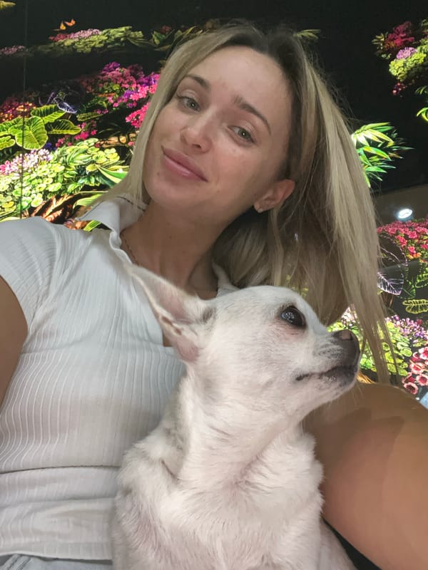 Mochi shop visit and errands in Odesa with a chihuahua