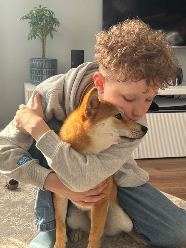Shiba Inu dog documented in multiple tender moments in Carnikava