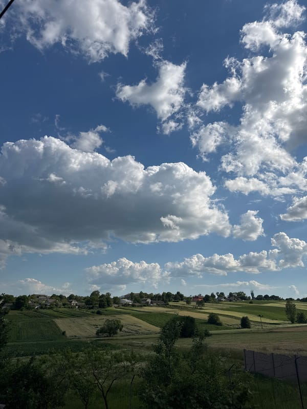 Rural landscape and sky shots, apple tree included