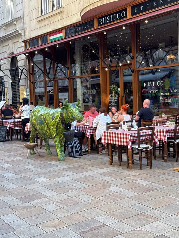 Afternoon loop through Budapest's landmarks, markets, and streets