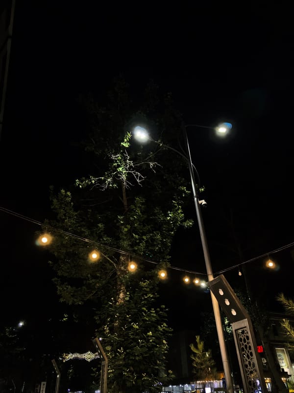 Fergana City at night: street markets, waste collection, and lit storefronts