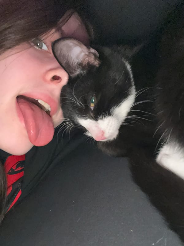 Resident shares casual selfies with cat in Saint Petersburg