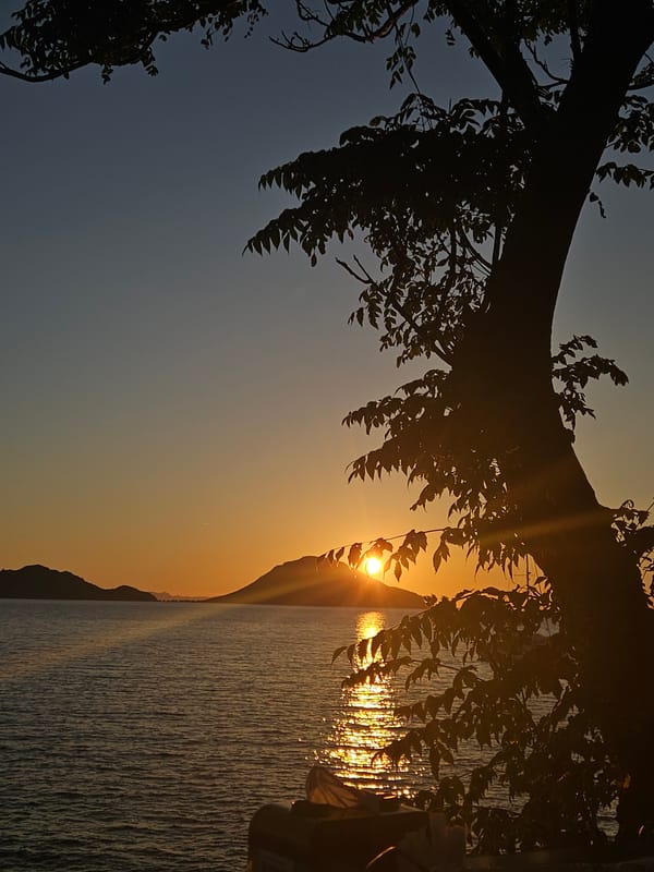 Golden hour on the Aegean coast in Bodrum
