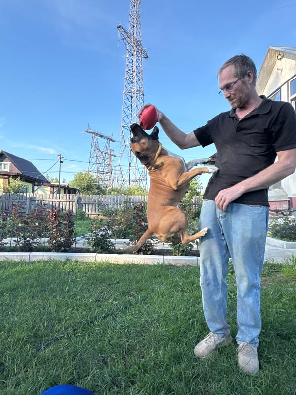 Backyard summer afternoon with a boxer dog in Chaikovsky
