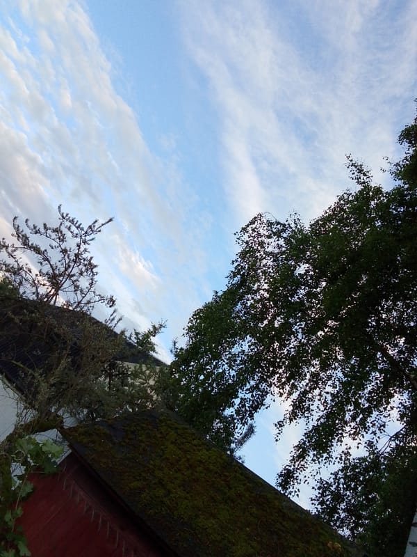 Spring blooms and garden scenes captured in Russian village