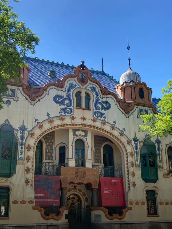 Witness documents historic Subotica landmarks including Raichle Palace, royal statue