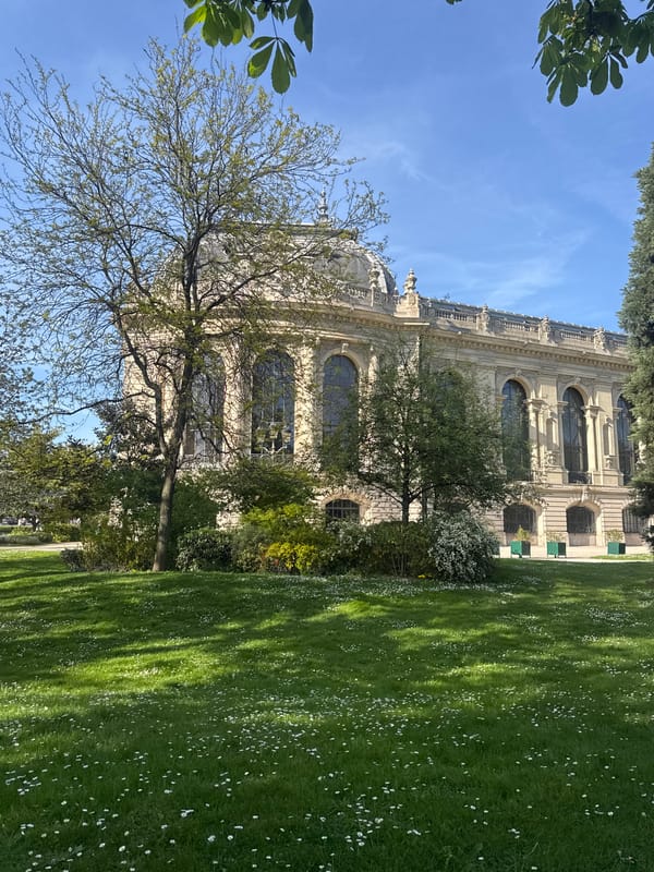 Afternoon moments captured across central Paris landmarks and streets