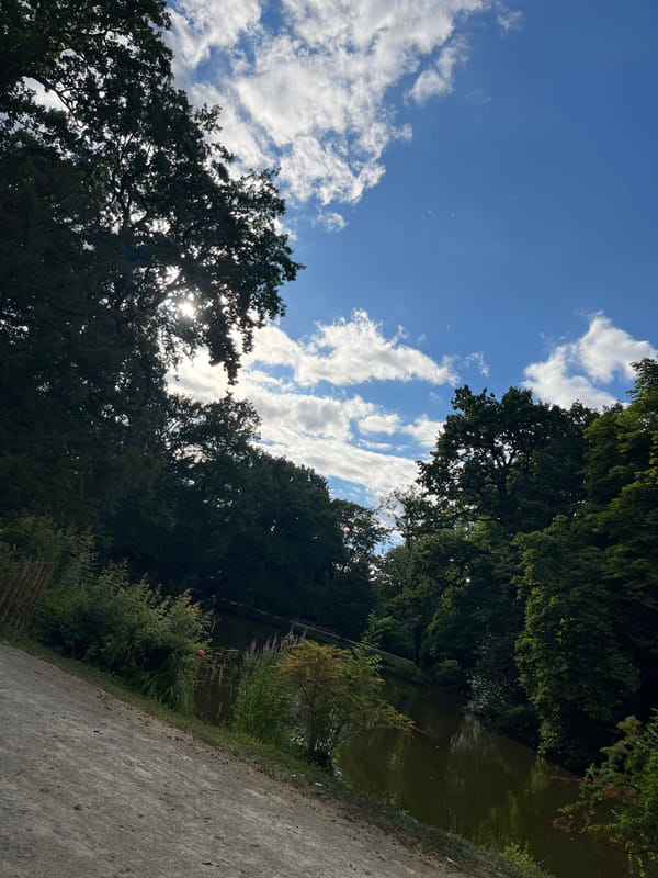 Lazy afternoon in a green urban park, geese included