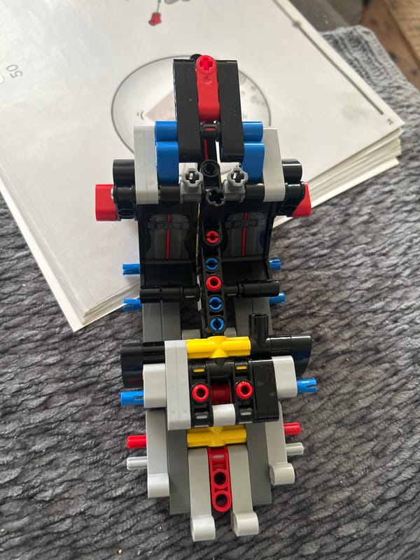 Salmon dinner, Lego build, and a cat in Leiden
