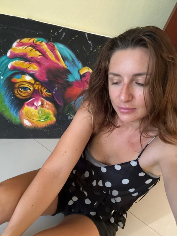 Tropical streets, blooming trees, a monkey painting, and a sleepy cat
