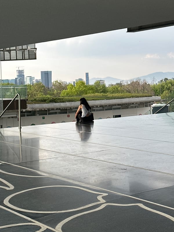 Early morning urban exploration documented across Mexico City rooftops
