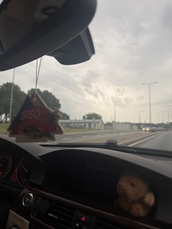 An afternoon out: dogs, drives, sneakers, and street details