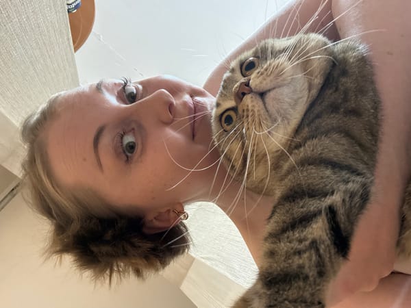Morning domestic moments captured featuring women and tabby cat