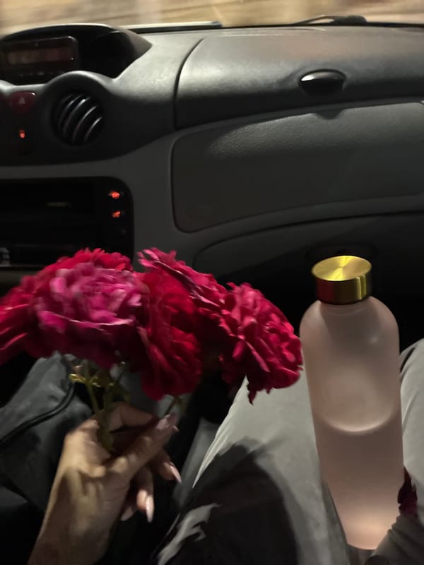 Person with flowers photographed in vehicle in Plovdiv